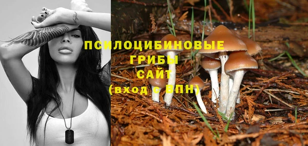 стафф Лабытнанги